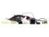 CAM-NS4-RT Cablaj retinere camera de fabrica Nissan cu aparat aftermarket - imagine 2