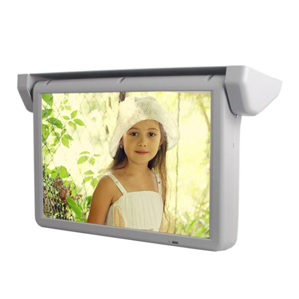 VT-R1906 Monitor plafon cu ecran de 19" HD 1080P - imagine 1