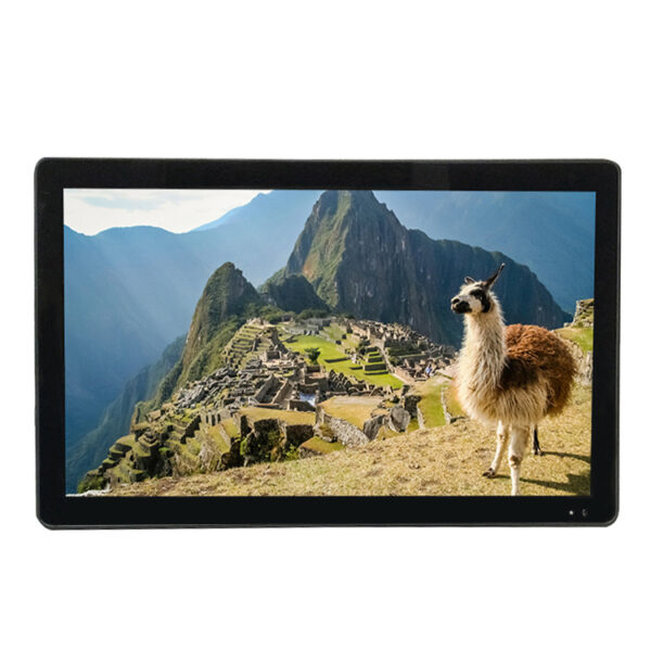 VT-R2405P Monitor plafon cu ecran LDC de 24" HD 1080P - imagine 1