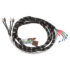 CABLU ADAPTOR HI-LOW 4 CANALE 3M Audio System - imagine 2
